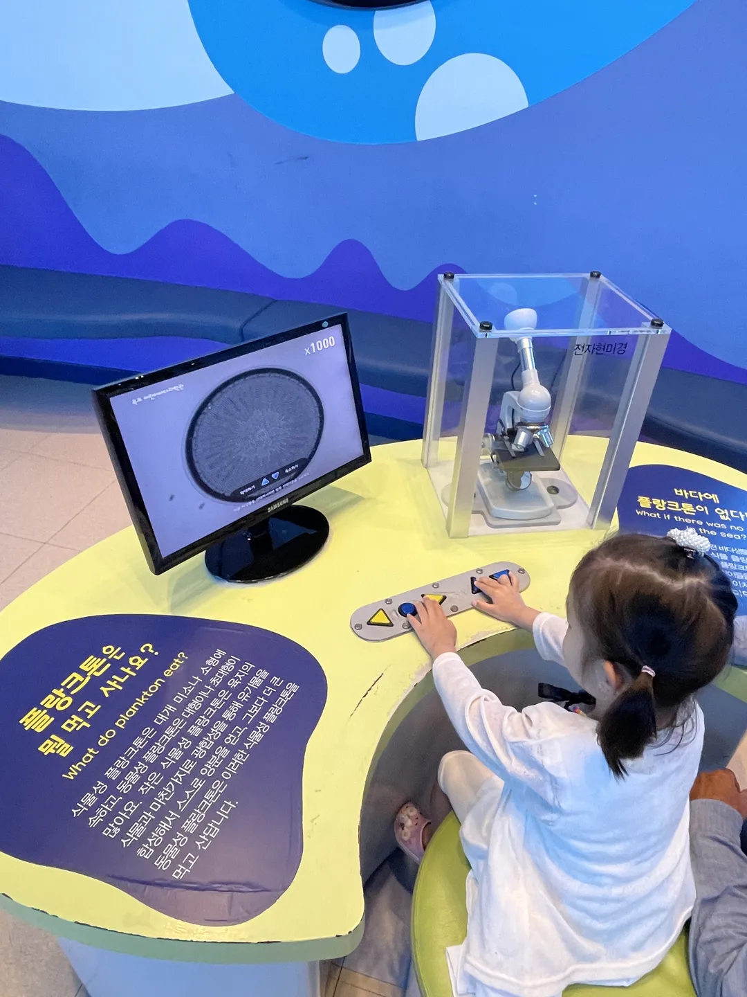 Mokpo Children's Sea Science Museum photo 9