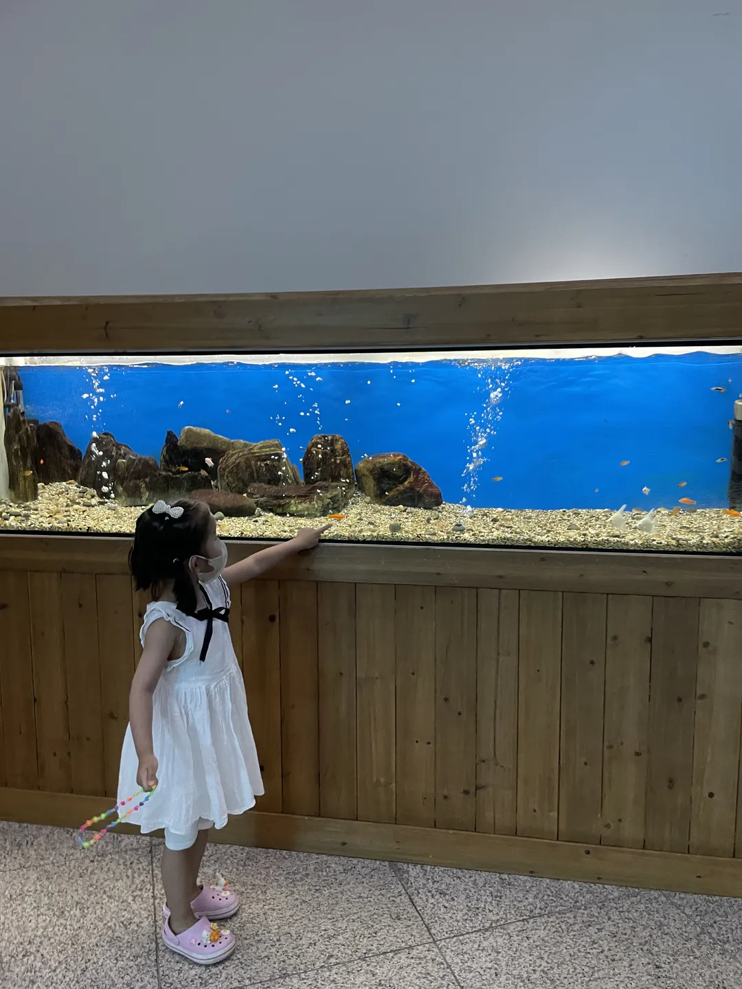 Mokpo Children's Sea Science Museum photo 15