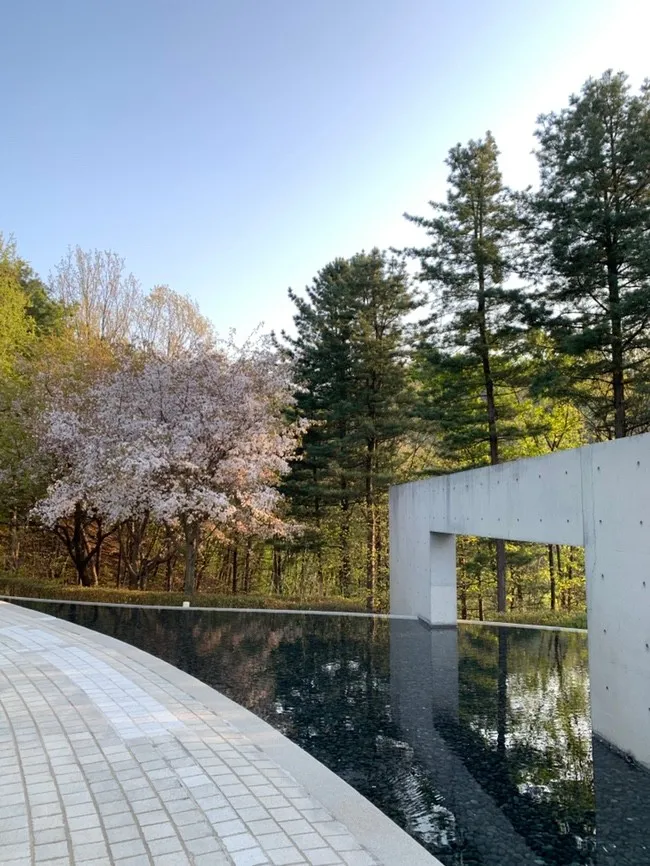 뮤지엄산 사진 10