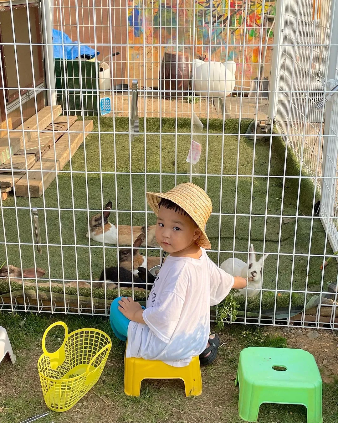 치유농장 뒤란 사진 7