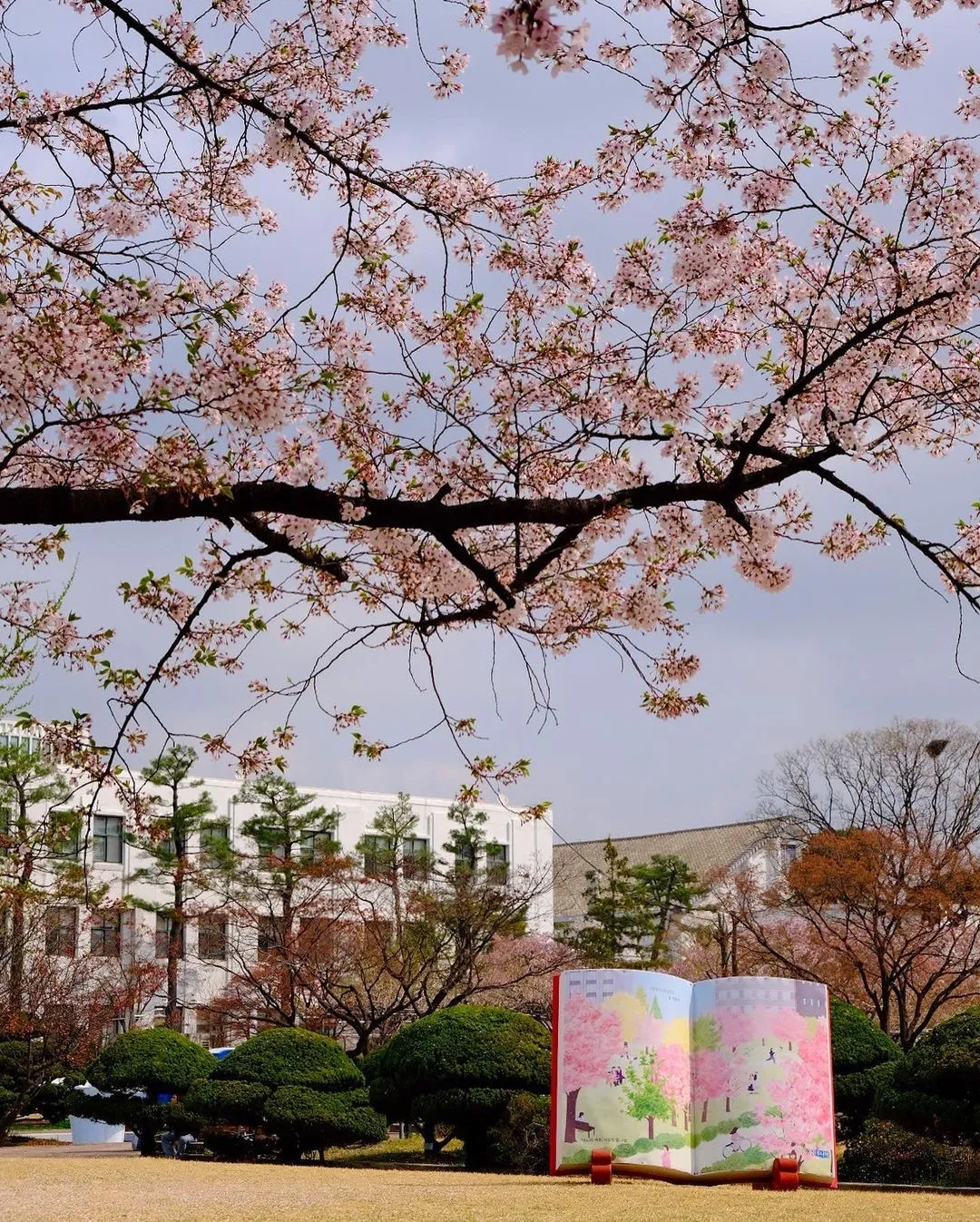 Seoul Metropolitan Office of Education Jeongdok Library photo 7