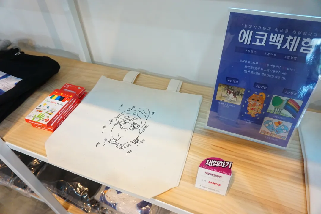 아름다운 비행 사진 8