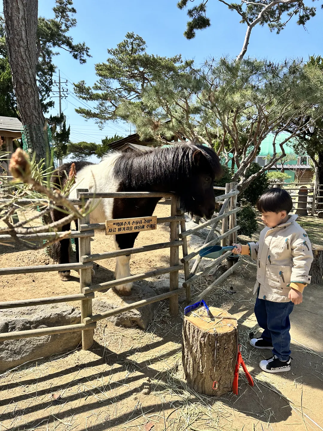 에코팜