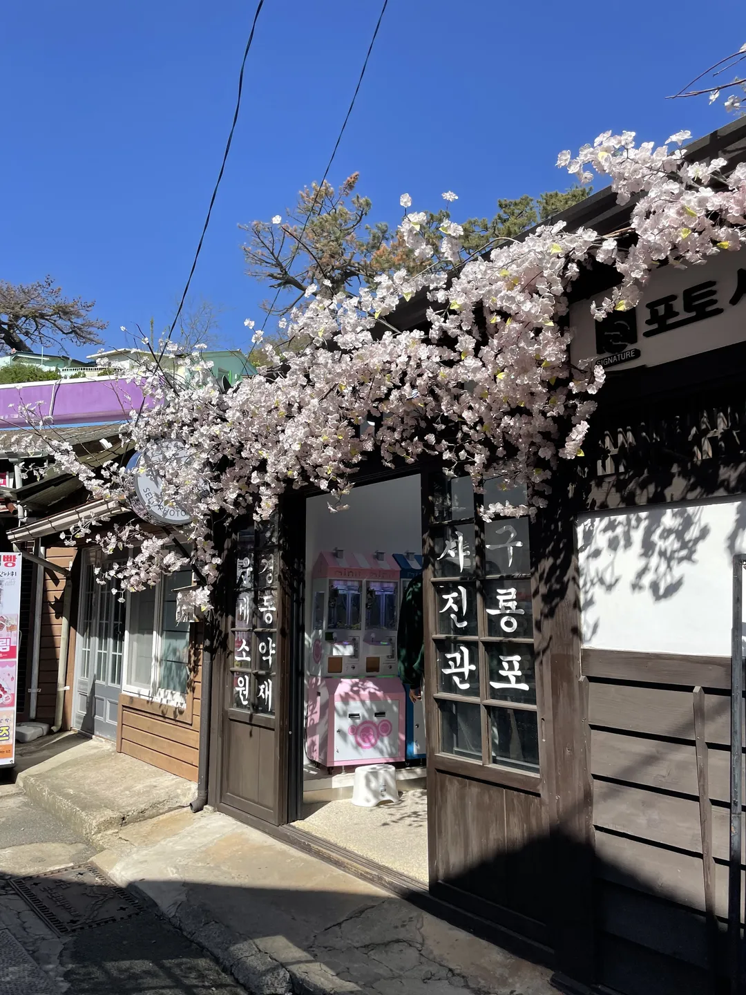 구룡포 일본인 가옥 거리