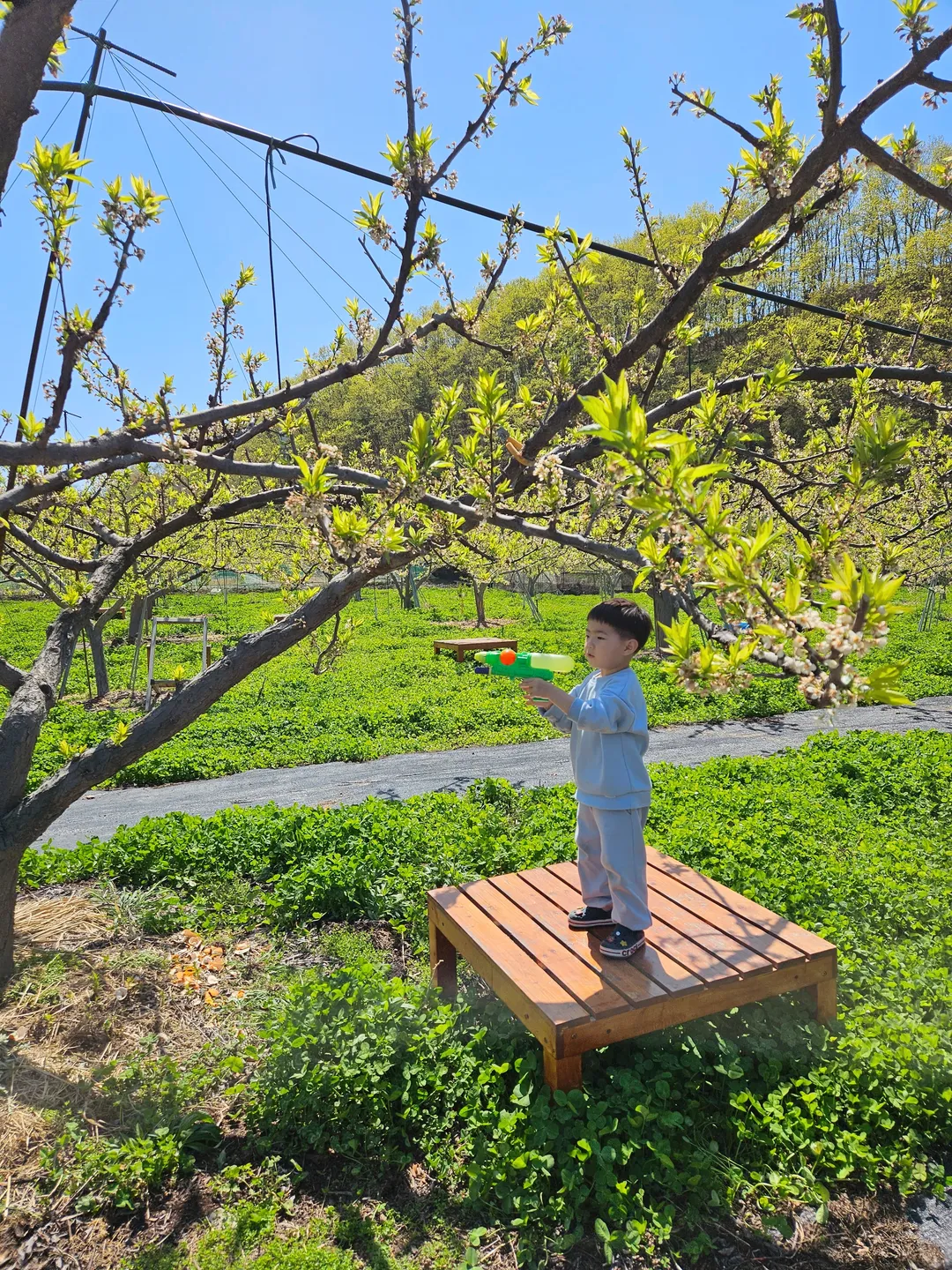 산908