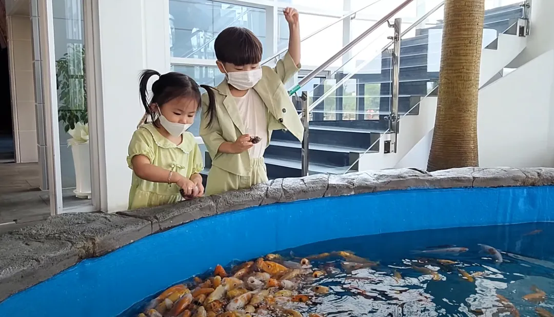 경포 아쿠아리움 사진 6