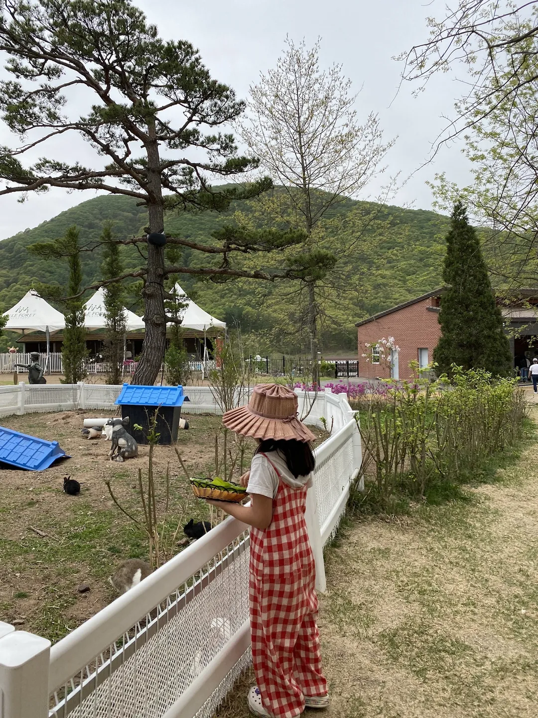 블랙스톤 벨포레 목장