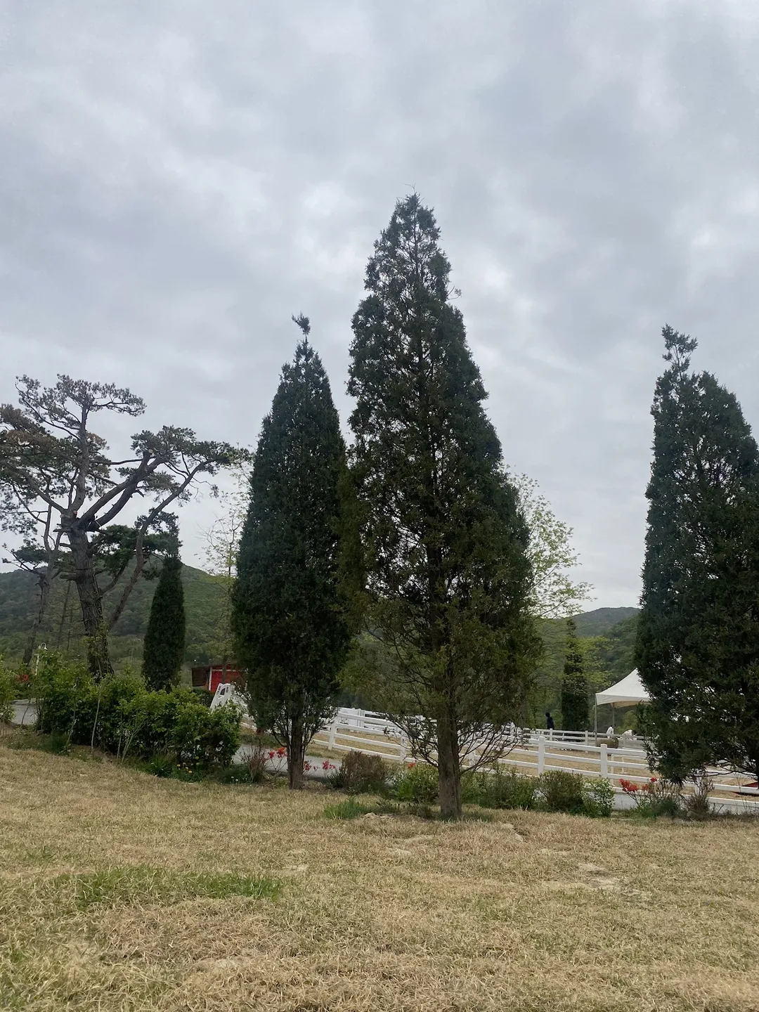 블랙스톤 벨포레 목장 사진 10