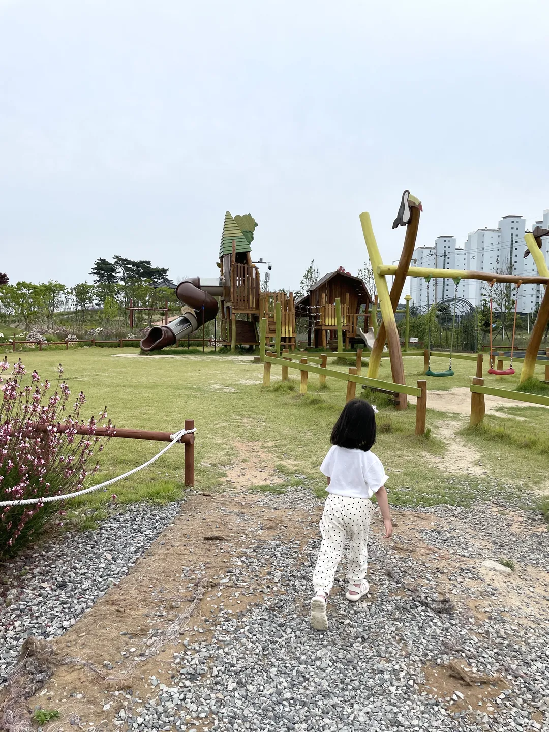 고하도목화체험장 사진 7