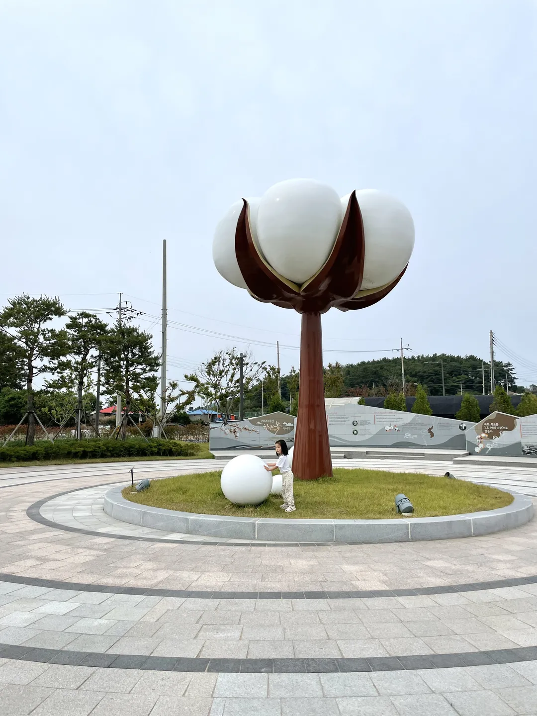 고하도목화체험장 사진 11