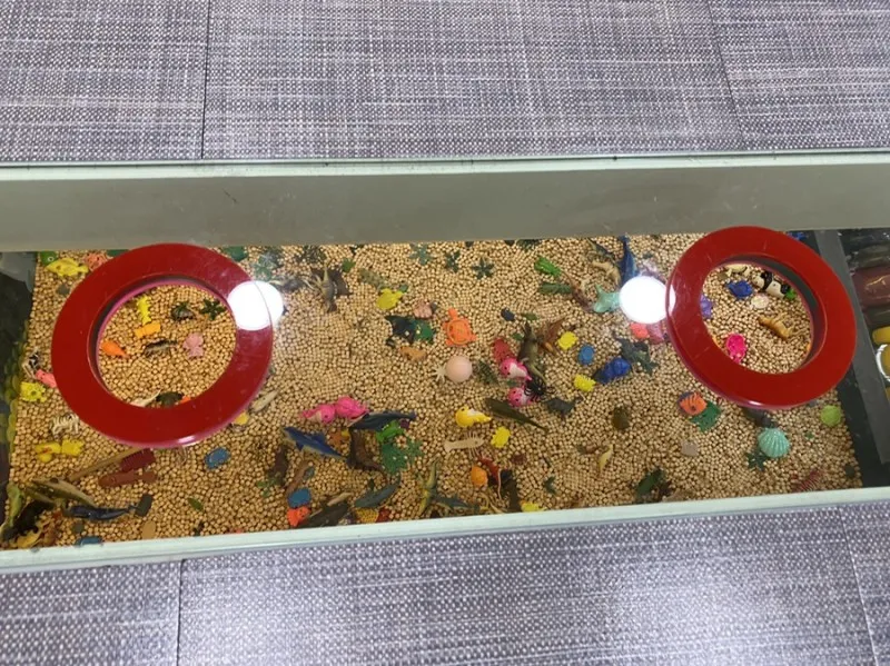 プレーリーキッズカフェ 始興モッカム店 写真 8
