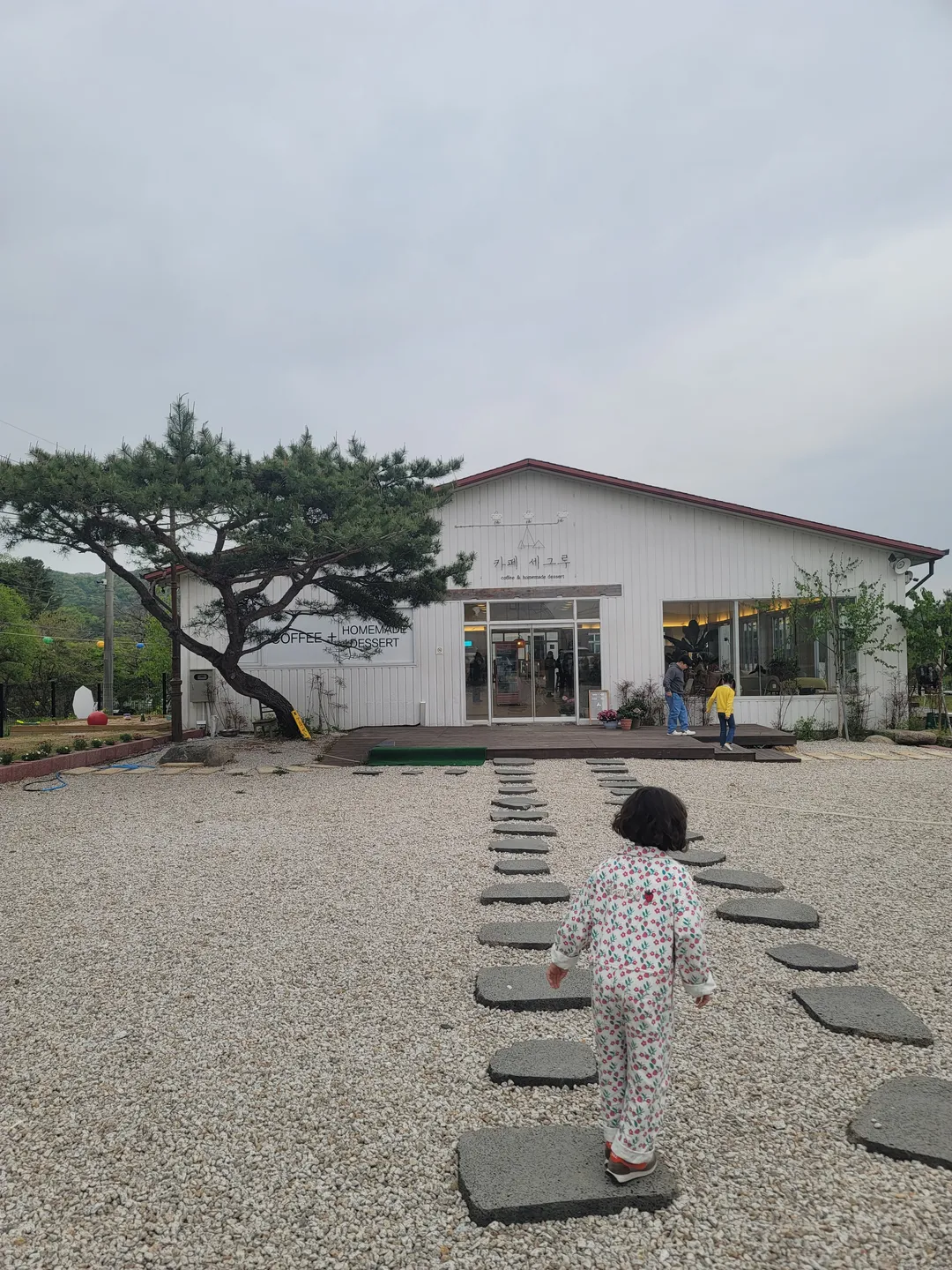 카페세그루