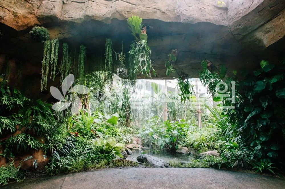 Seoul Botanic Park photo 7