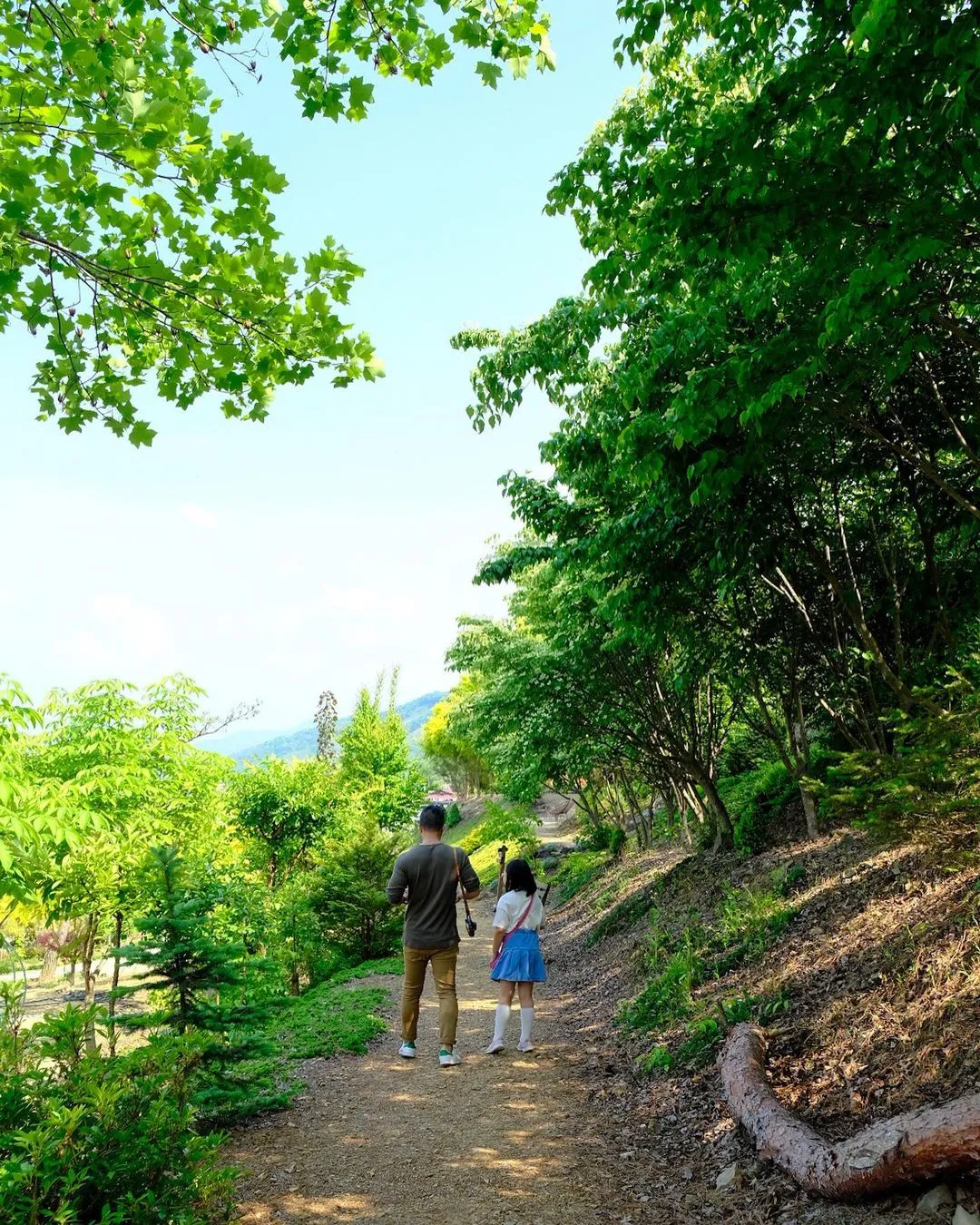 Goesan Treehouse Garden photo 8