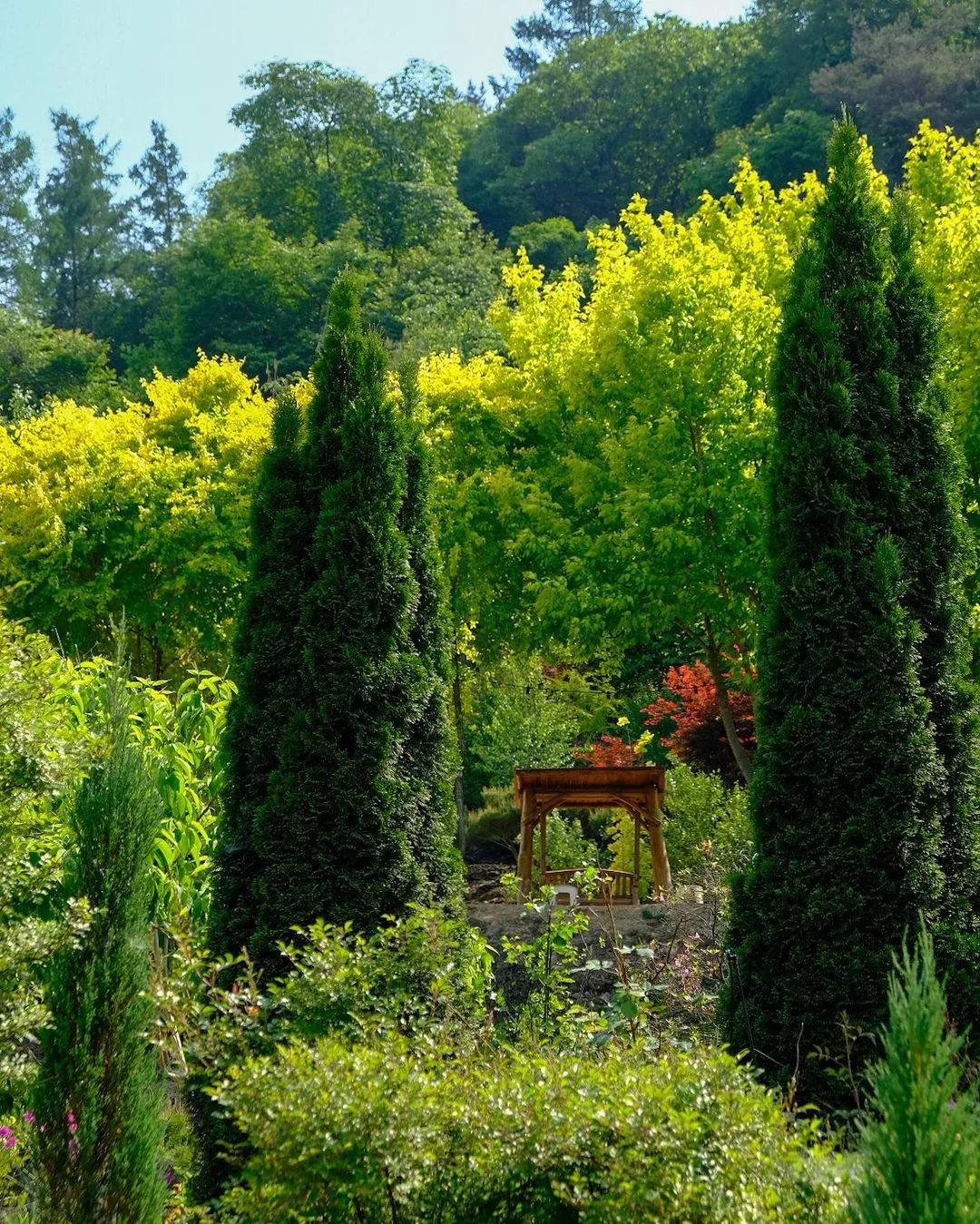 Goesan Treehouse Garden photo 9