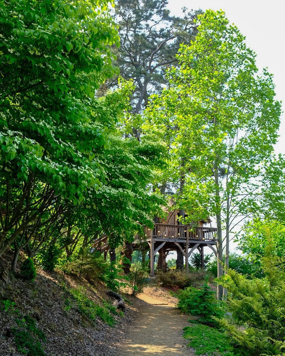 Goesan Treehouse Garden photo 10