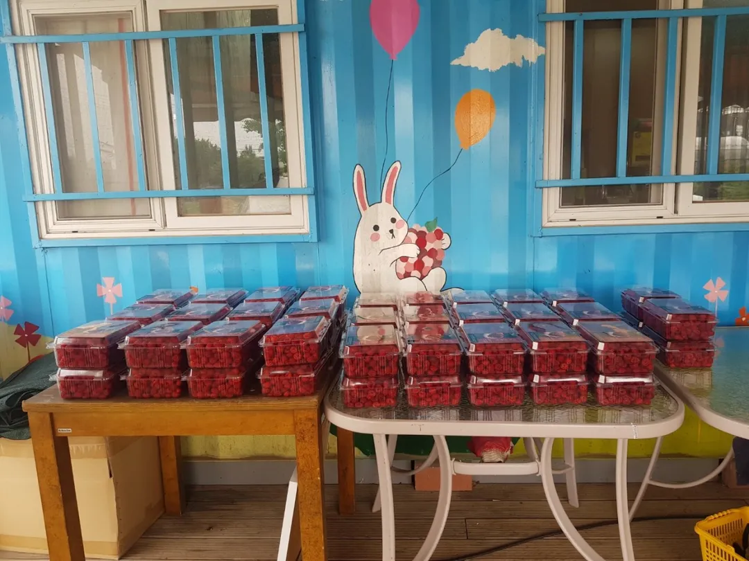 소담산딸기