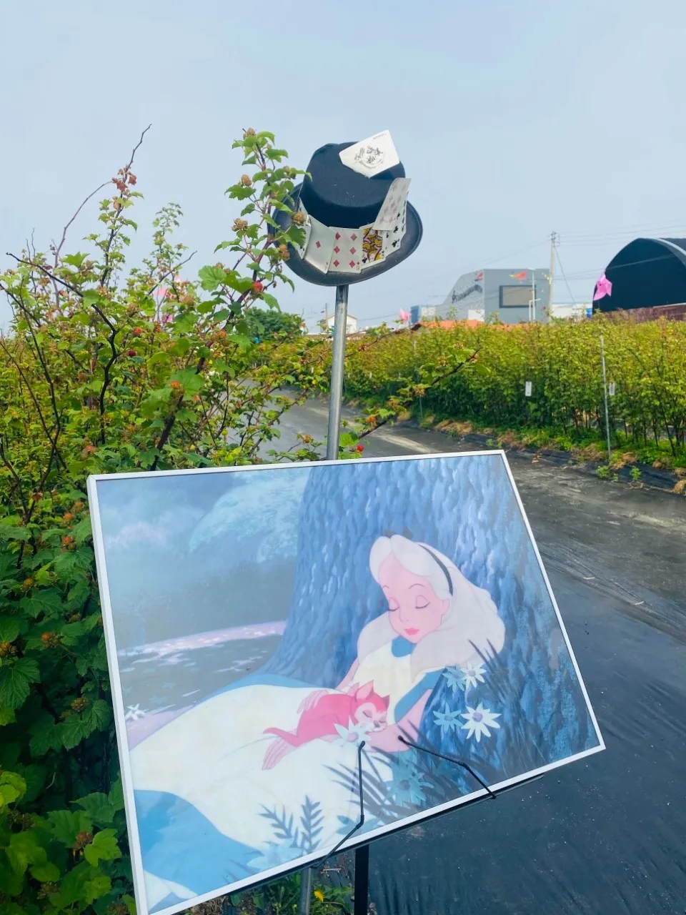 소담산딸기