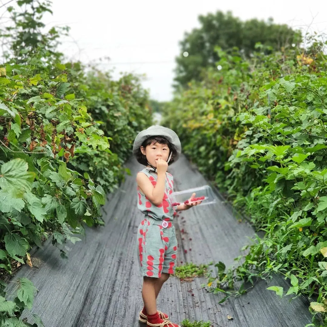 소담산딸기