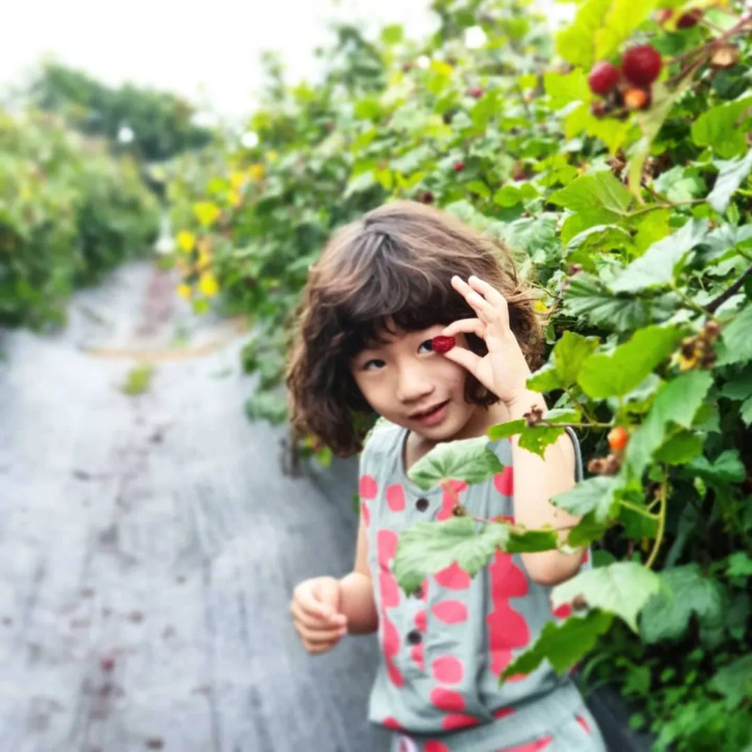 소담산딸기