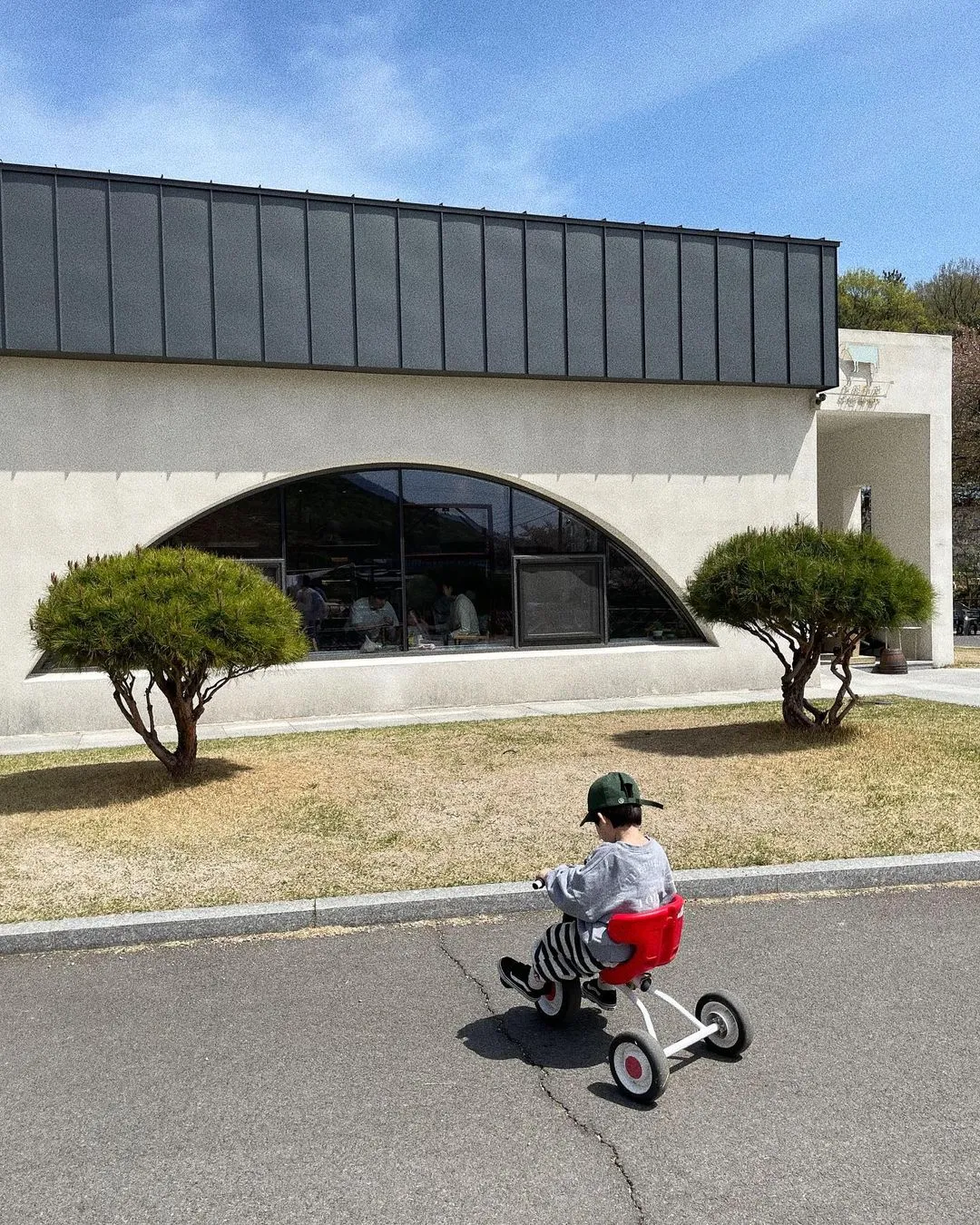 ユジン牧場 ボンチーズオリ 写真 6