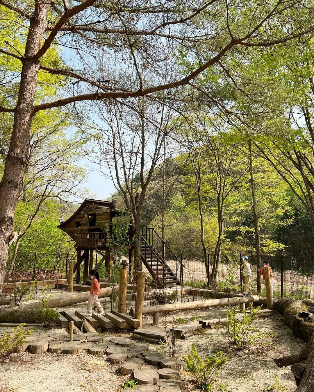 Korea National Arboretum Ribeu Garden photo 17