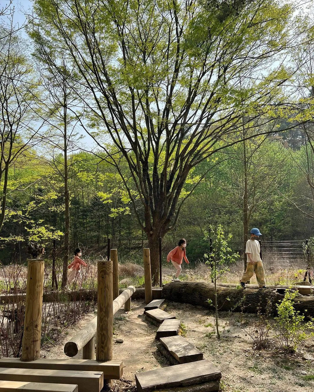 Korea National Arboretum Ribeu Garden photo 18