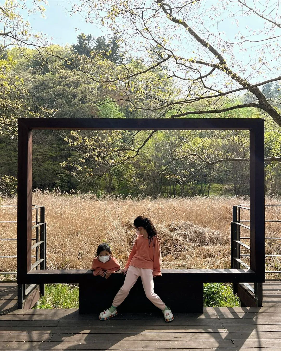 Korea National Arboretum Ribeu Garden photo 19