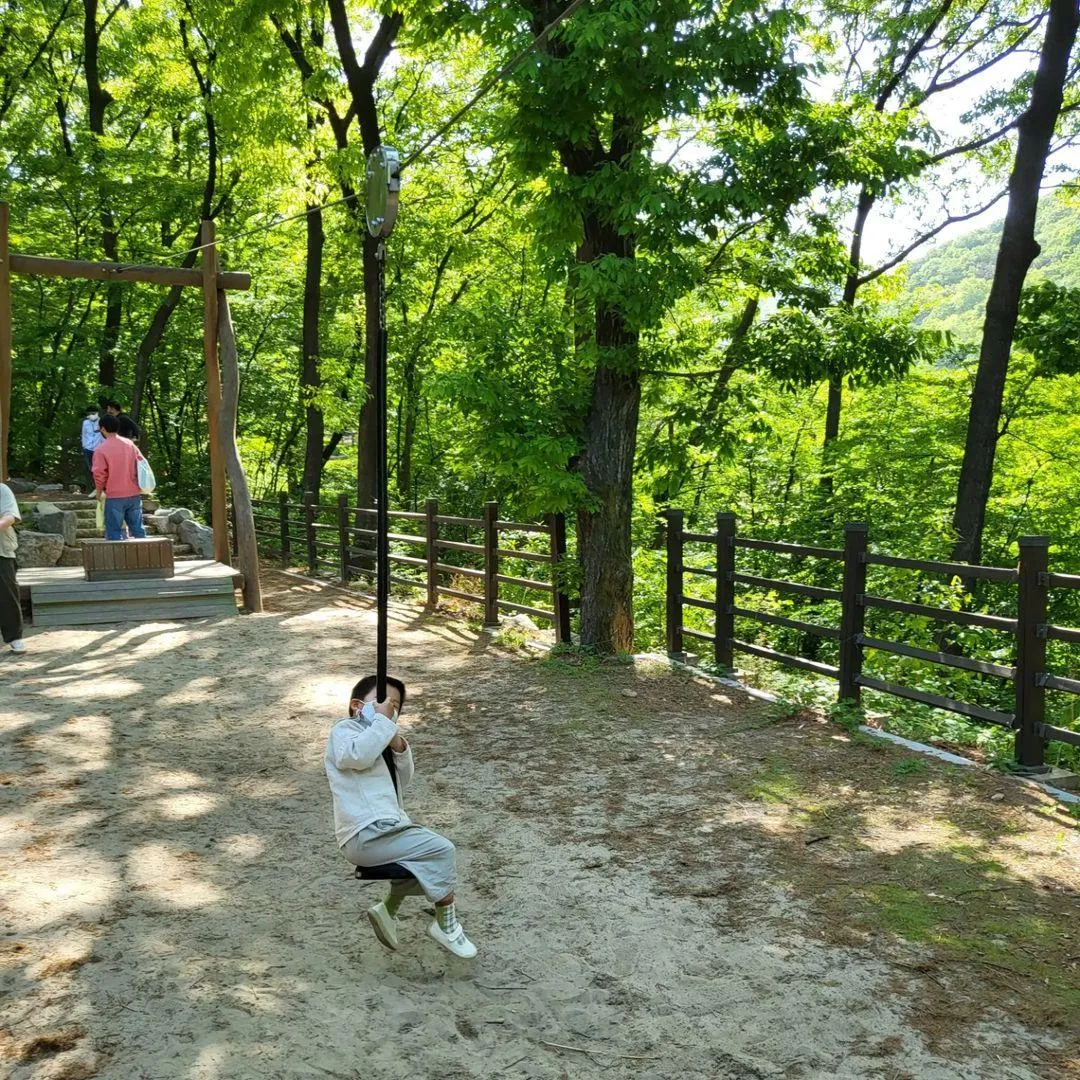김해 대청 유아숲체험원