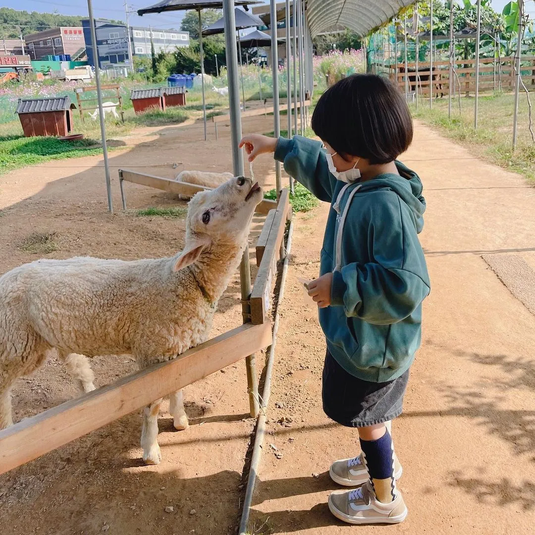 나눔농장(파주)