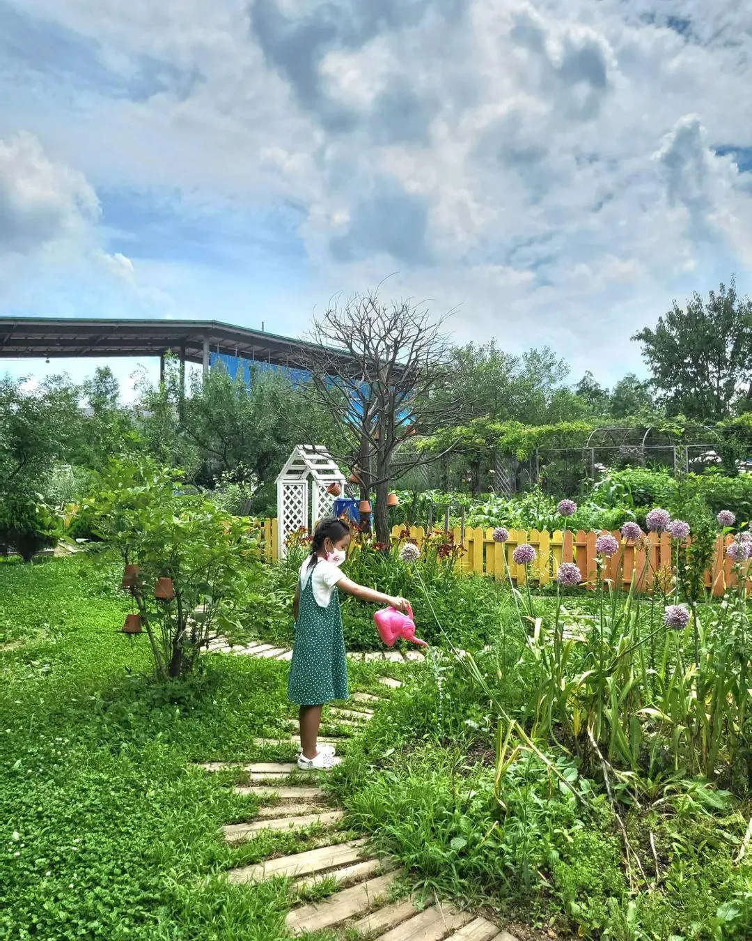 Cafe Pulbit & Nori Garden Pulbit photo 6