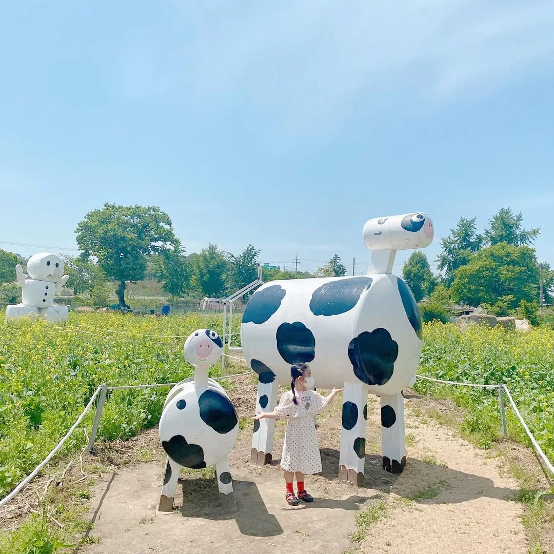 다래목장 사진 6