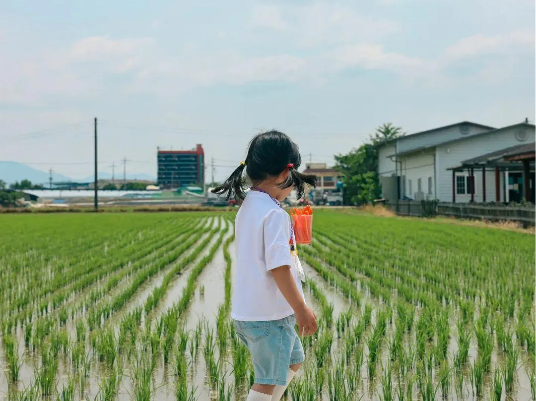 Dagam Farm photo 15