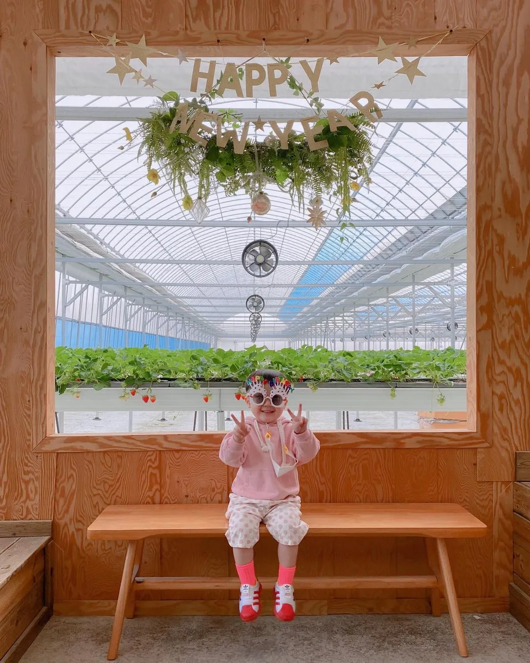 달보드레딸기농장