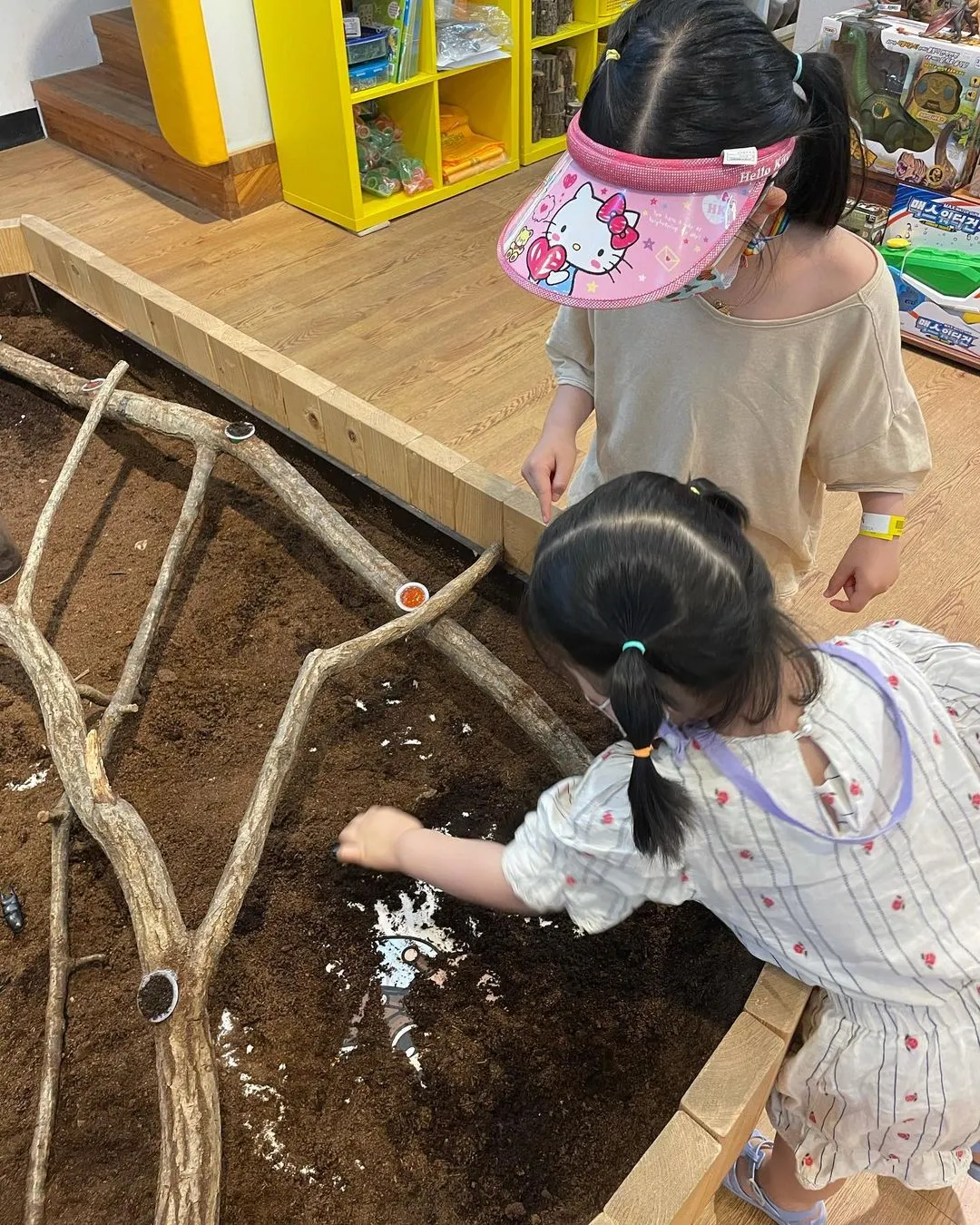 담양곤충박물관