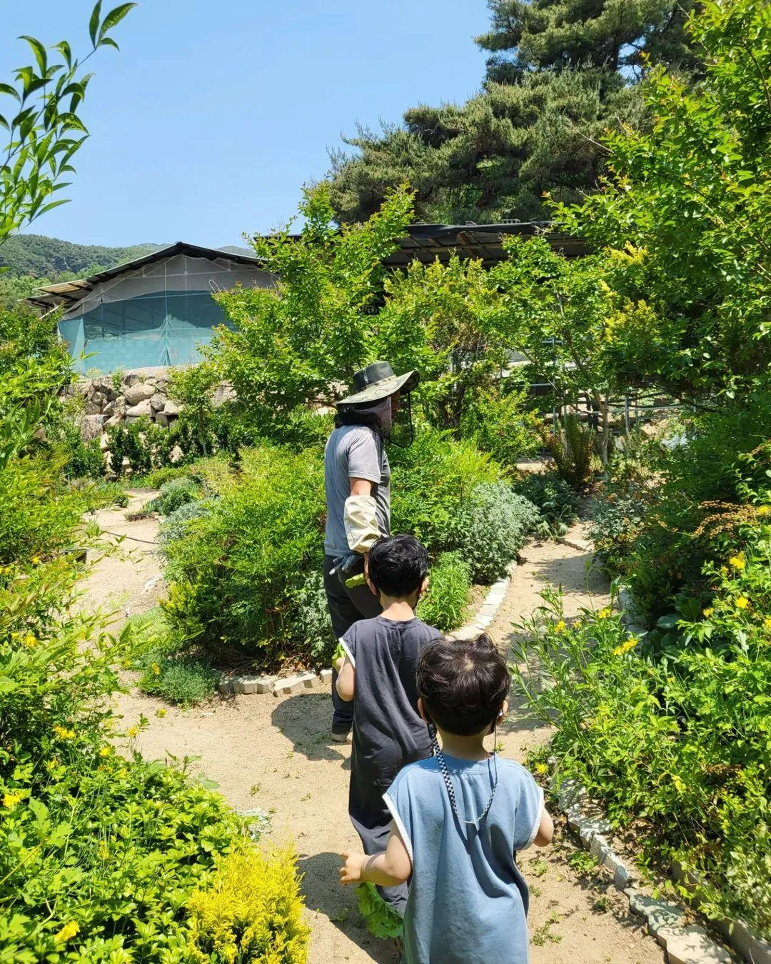 편백숲체험농장