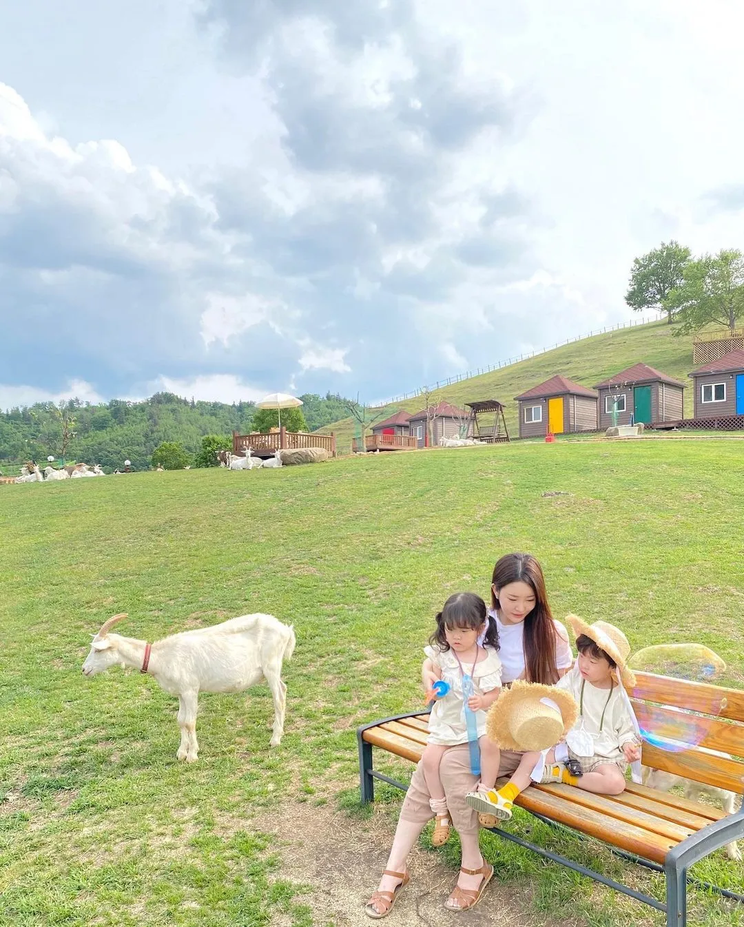 몽토랑 산양목장