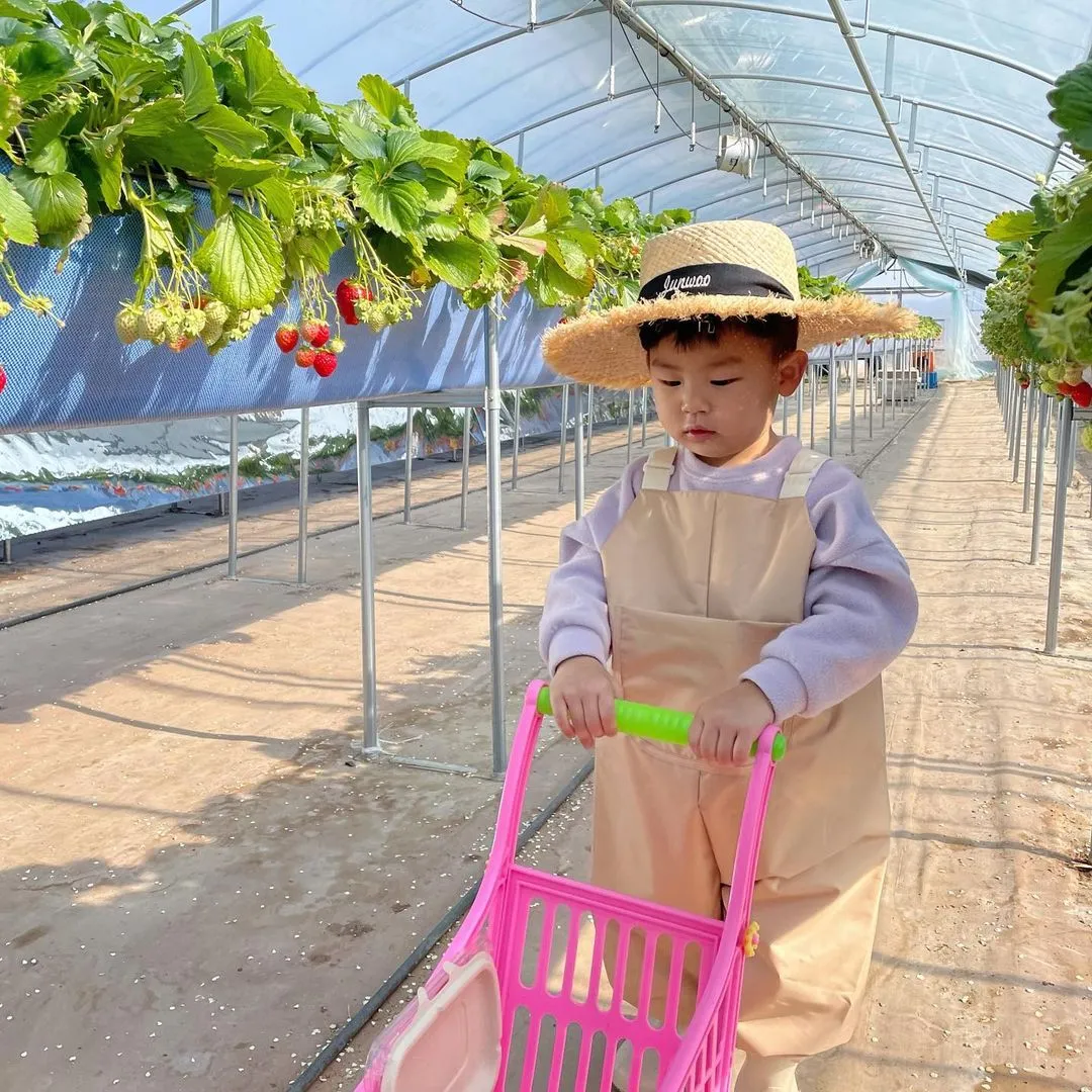 부농딸기