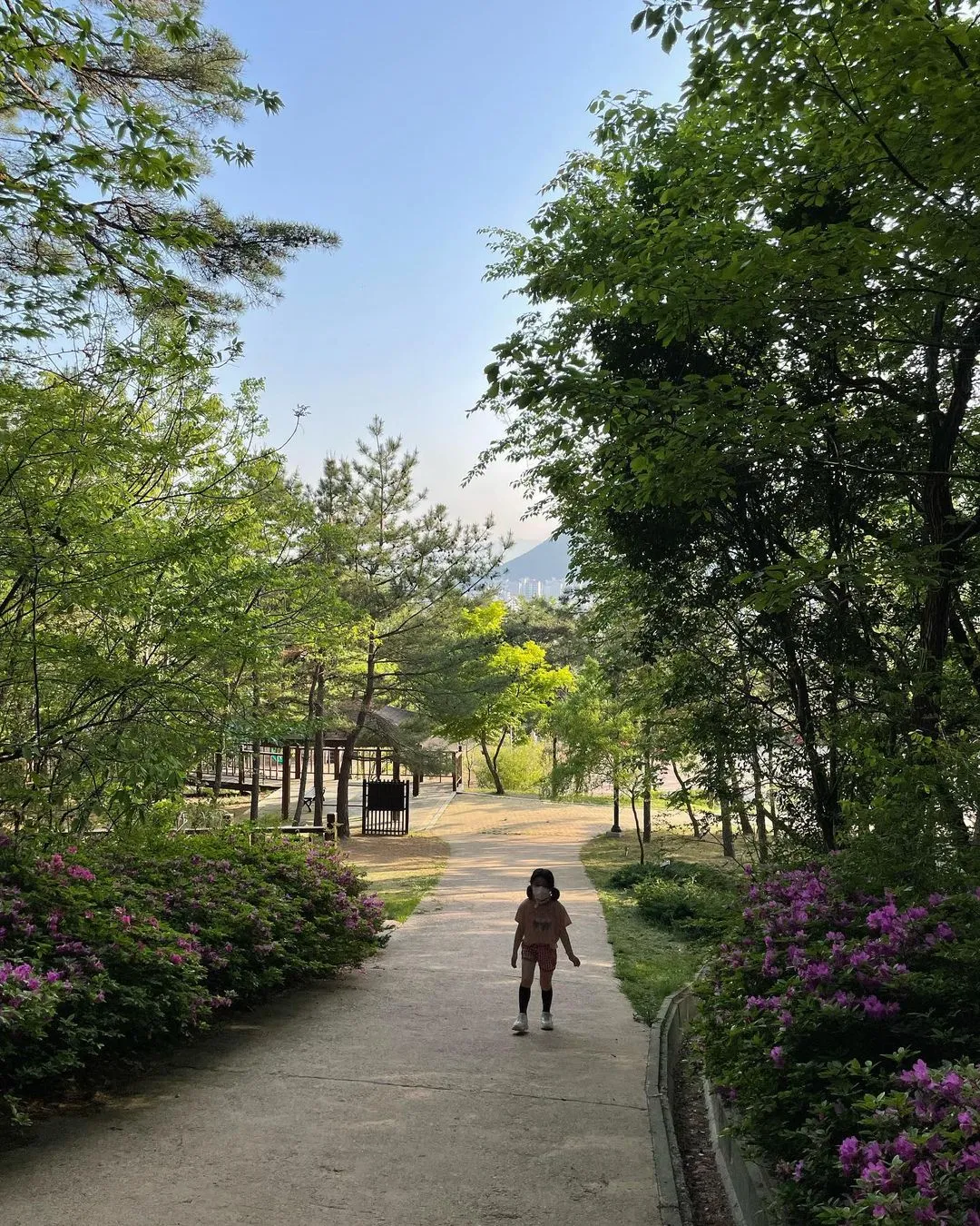 分城山エコフォレスト 写真 7
