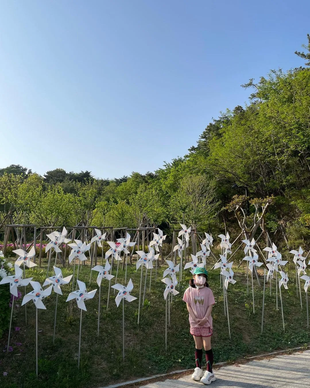 分城山エコフォレスト 写真 8