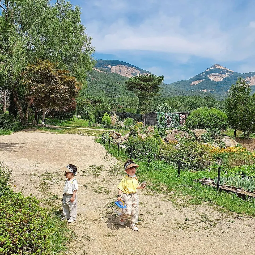 산들소리 사진 7