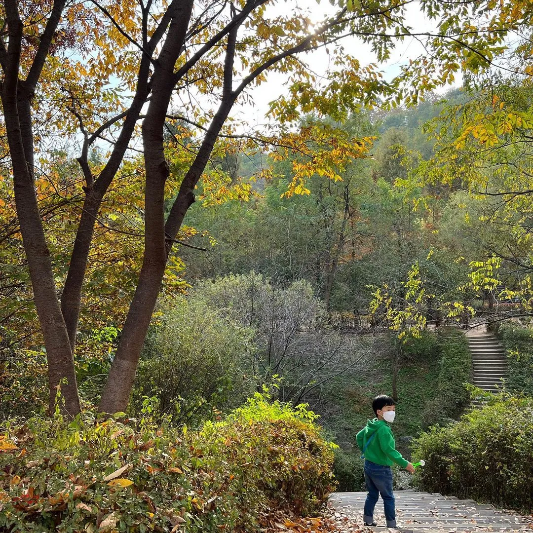 상암 하늘공원 사진 6