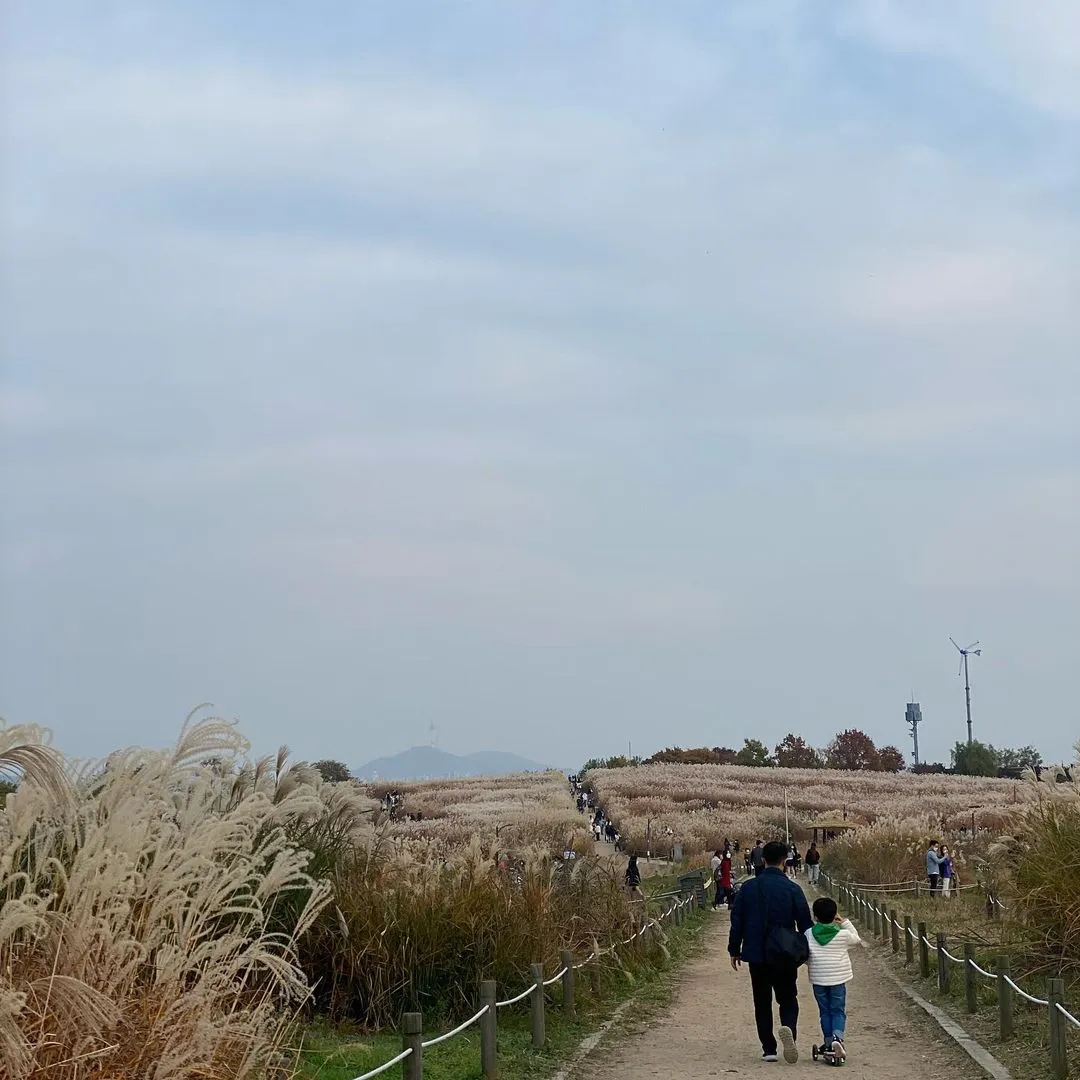 상암 하늘공원 사진 7