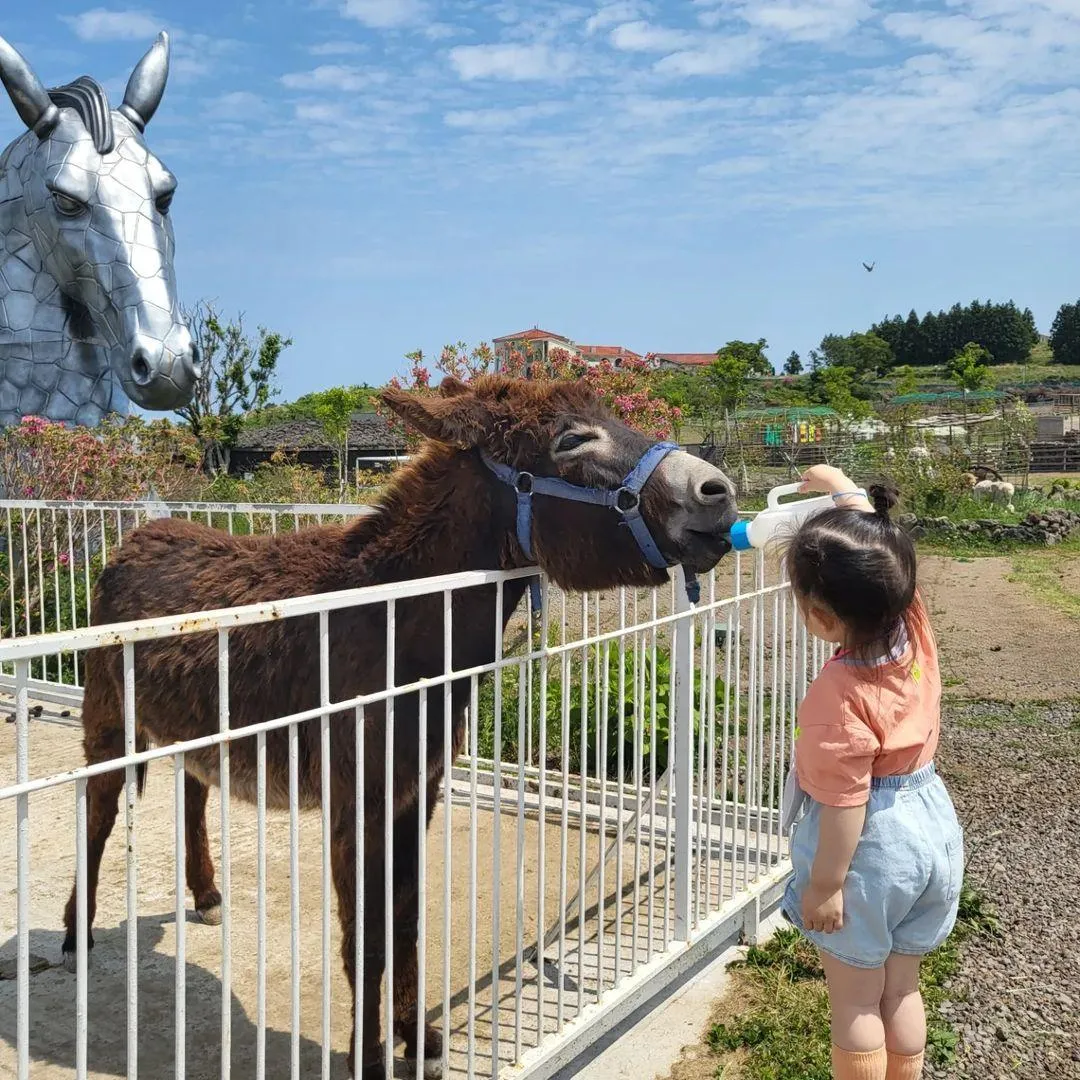 새별프렌즈