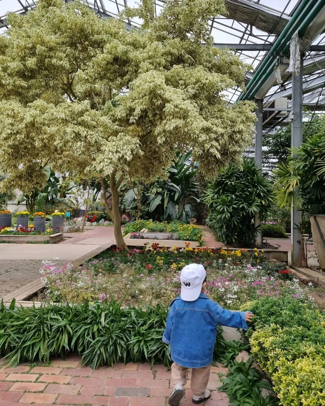 アサン世界花植物園 写真 6
