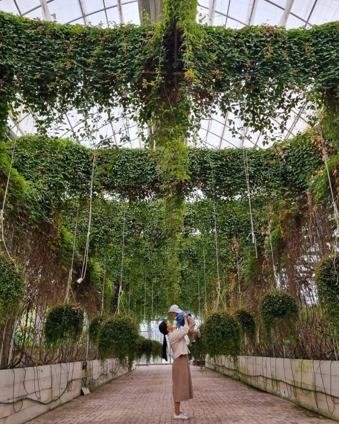 アサン世界花植物園 写真 7
