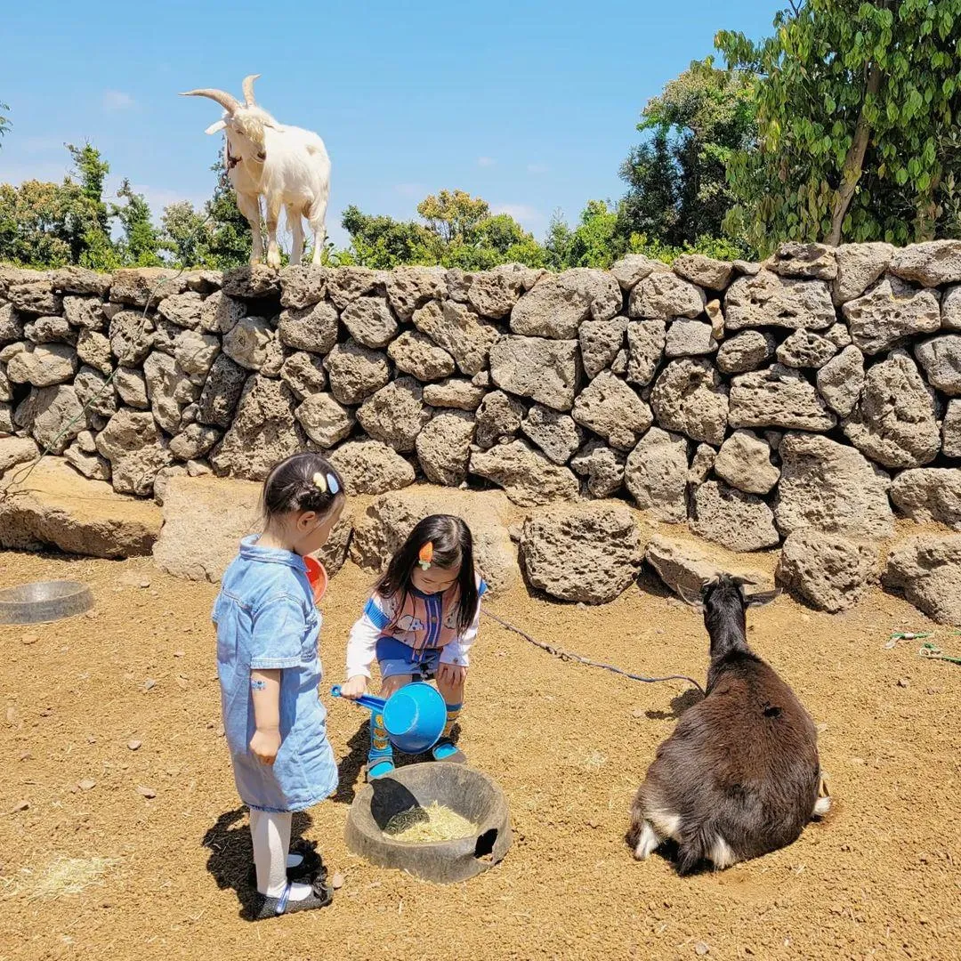 オリヌァンジャカムギュルバッ 写真 11