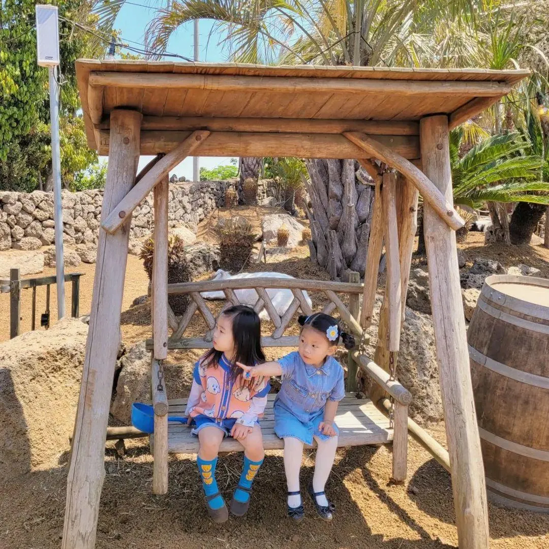 オリヌァンジャカムギュルバッ 写真 14