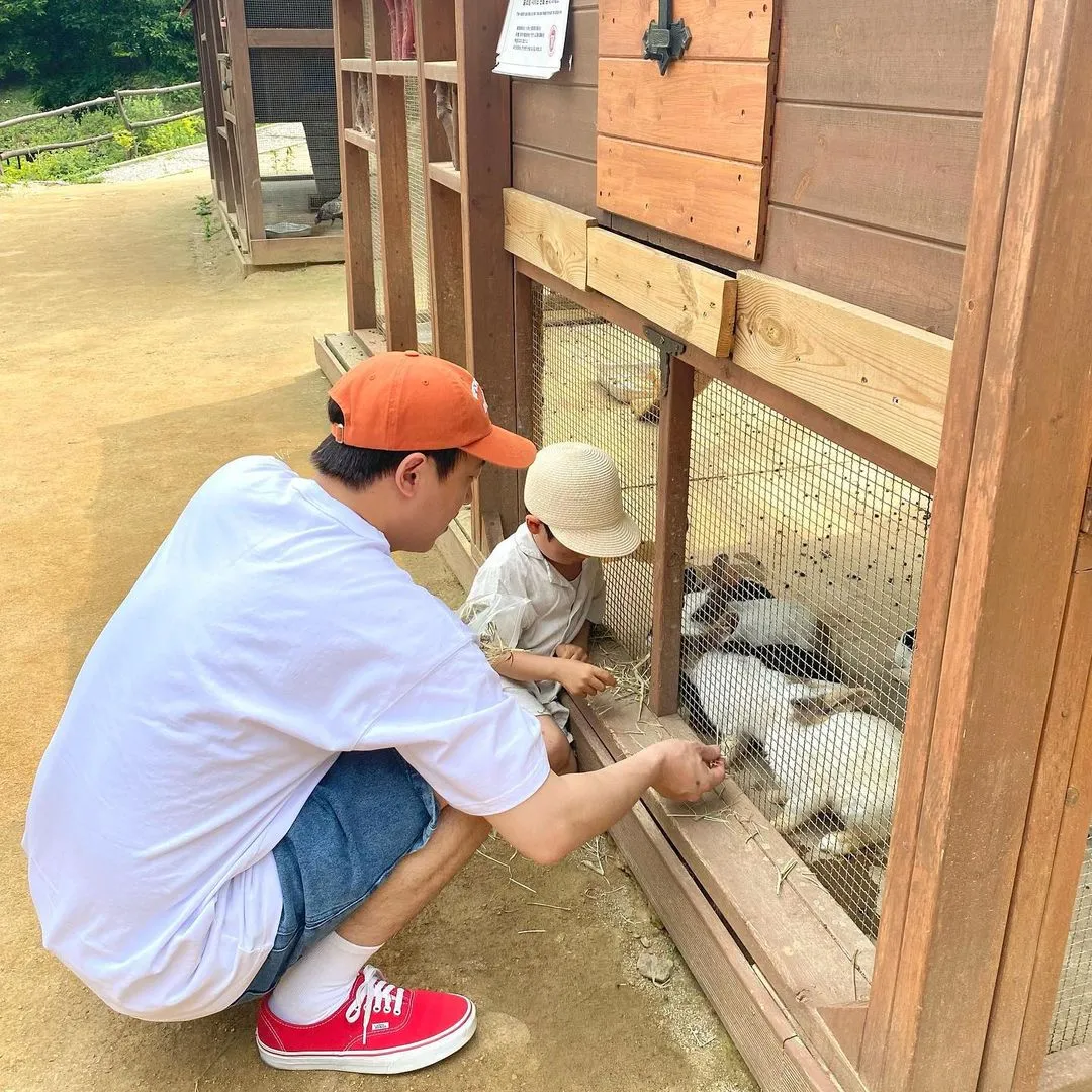 에델바이스 스위스 사진 9