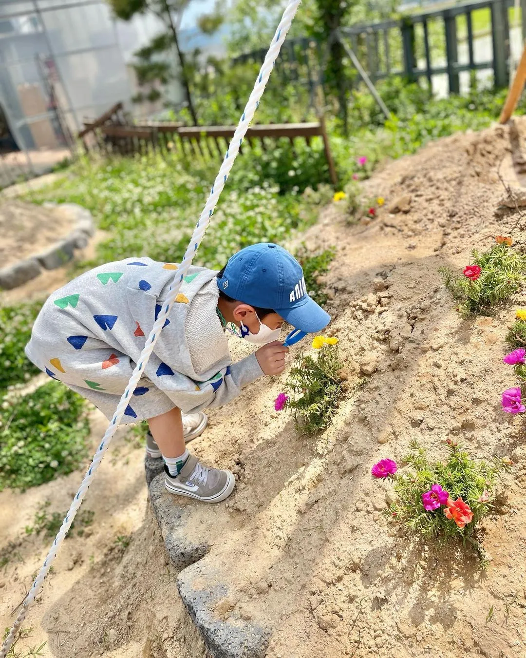용인청정팜 사진 8